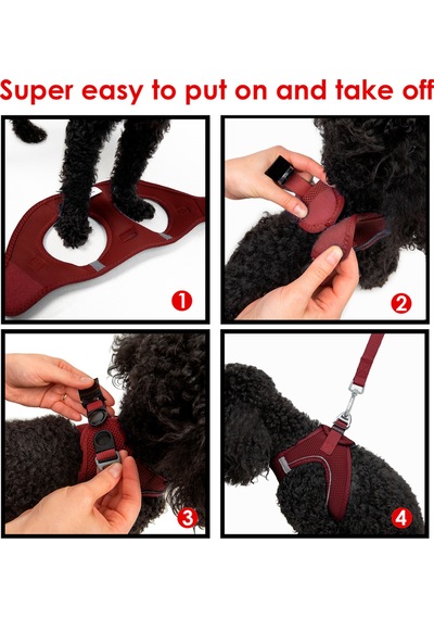Air-Mesh Küçük ve Orta Irk Kedi Köpek Göğüs Tasması - Yumuşak, Nefes Alabilir, Dayanıklı Bordo 2XS