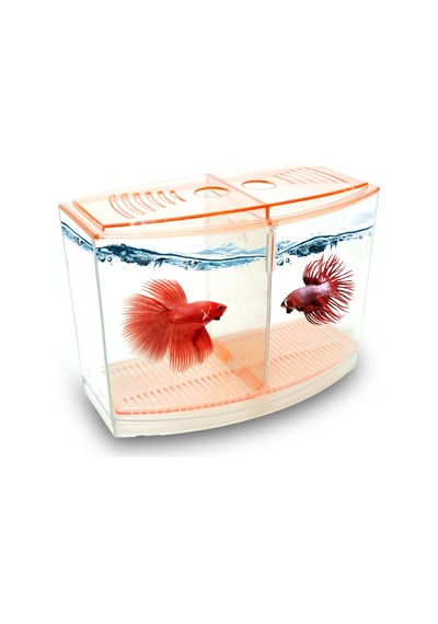 Atlantik Betalık 9x19x14cm 1800 Ml Beta Tank