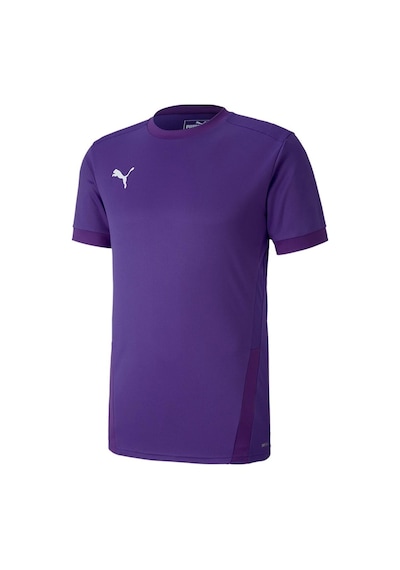 Puma Teamgoal 23 Jersey Erkek Futbol Forması 70417110 Mor