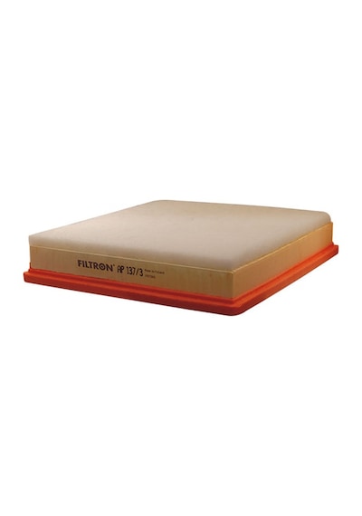 Filtron Hava Filtresi AP137/3