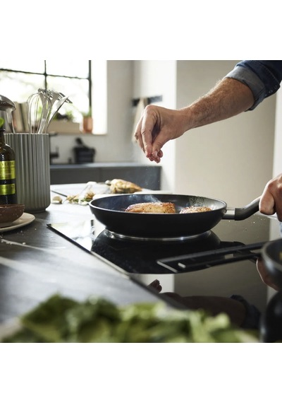 Fissler Essential Tava Seti 20-26 Cm Çok Renkli