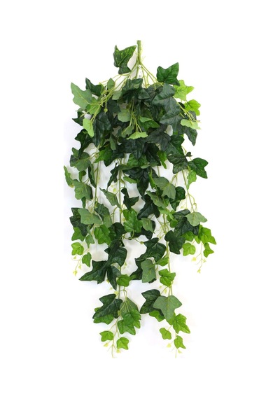 Gerçek Dokulu Islak Lüx Sarmaşık 100 Cm Çınar Model