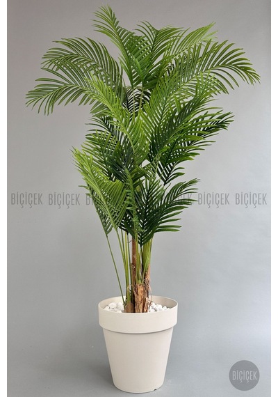 Biçiçek Yapay Areka Ağaci 220 Cm 4 Gövdeli̇ Krem Yali Saksıda