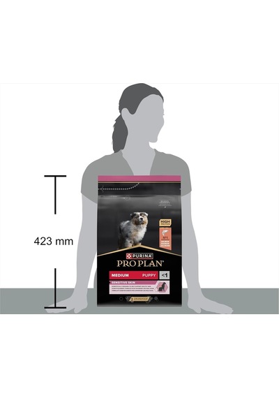 Medium Puppy Somonlu Tam Kuru Orta Irk Yavru Köpek Maması, 3 Kg