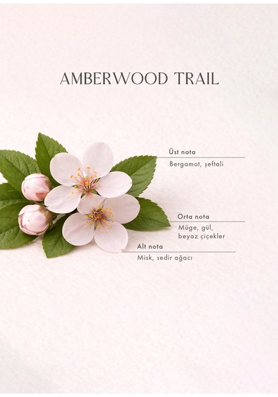 Bella Maison Amberwood Trail Çubuklu Oda Kokusu Sarı 100 Ml Vanilya