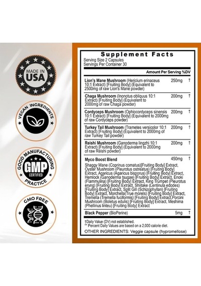 Lions Mane Reıshı + Chaga Turkey Tail Cordyceps 60 Kapsül