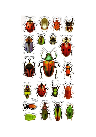 Sticker Kabartmalı Stiker Çıkartma Etiket Xhc082 -18x9 Cm- Orman Böcekleri Çok Renkli