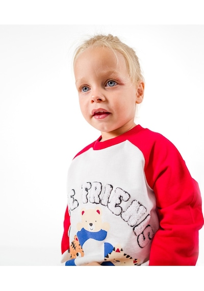 Overdo Kids Erkek Çocuk Uzun Kollu Sweatshirt Kırmızı