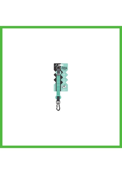 Vaveni Pull Power Köpekler İçin Şok Emici Ara Tasma Yeşil 25 Cm Arz