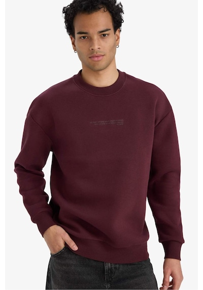 Defacto Boxy Fit Bisiklet Yaka İçi Yumuşak Tüylü Baskılı Sweatshirt X8282az25aubr230 Bordo-br230 Defacto Boxy Fit Bisiklet Yaka İçi Yumuşak Tüylü Baskılı Sweatshirt X8282az25aubr230 Bordo-br230