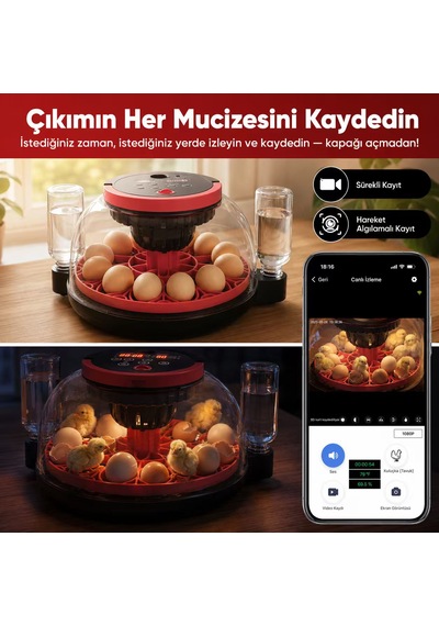 Akıllı Kameralı Kuluçka Makinesi - 12'li