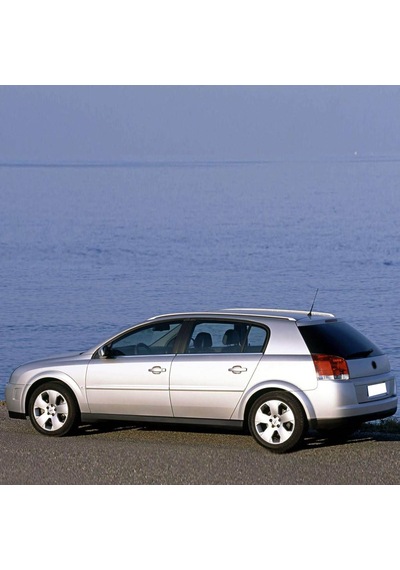 Opel Signum 2002-2008 Arka Bagaj Kapağı Amortisörü Pistonu 1 Adet