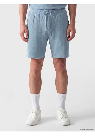 Lcwaıkıkı Classic Mavi Regular Fit Erkek Şort