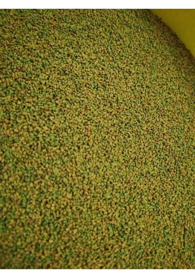 Guppy Fish Granulat 100 Gram