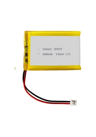 Biges 365 Alarm Panel Pil