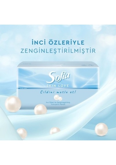 100'lü X 12 Mendil İle Yumuşak Ve Pratik Kullanım