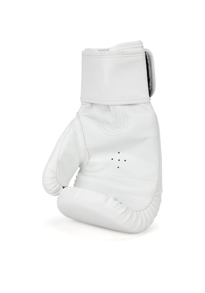 Titan Sport Pitbull-2 Beyaz Boks Eldiveni Çok Renkli