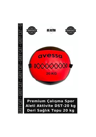 Premium Çalışma Spor Aleti Aktivite Dst-20 Kg Deri Sağlık Topu 20 Kg