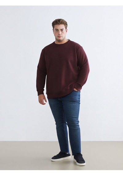 Lcw Vision Bordo Bisiklet Yaka Erkek Kalın Sweatshirt