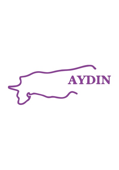 Aydın Harita Araba Sticker 17x17 Cm Mor