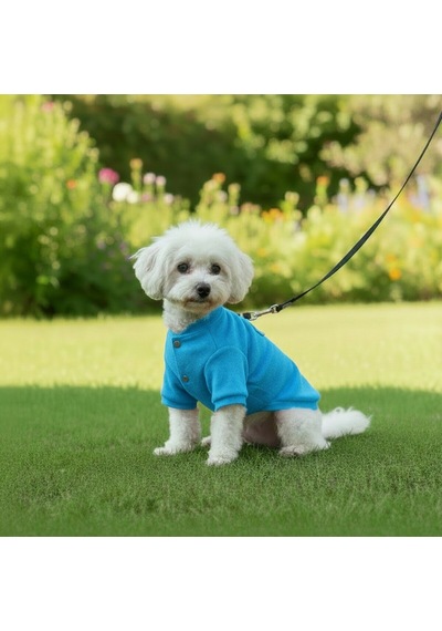 Kedi - Köpek Kaşkorse Esnek Mevsimlik Ceket - Mont - Yağmurluk - Yelek - Kıyafet