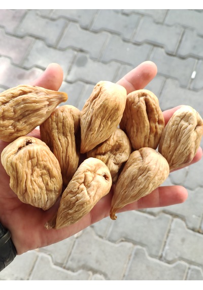 Aydın Germencik Kuru Dağ İncir 2,5kg Protoben İncir 2500 G