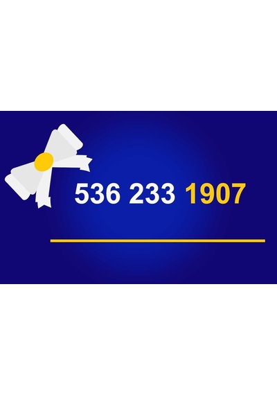 Daha Önce Hiç Kullanılmamış Turkcell 536'Lı Numara 536 233 1907