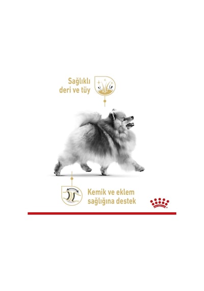Royal Canin Pomeranian Adult Yaş Köpek Maması, 12 Adet 135139492