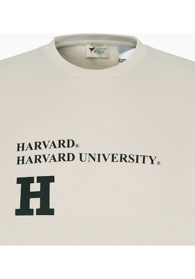Ac&co / Altınyıldız Classics Erkek Açık Bej Oversize Fit Bol Kesim Harvard Lisanslı Pamuklu Bisiklet Yaka Sweatshirt Açık Bej