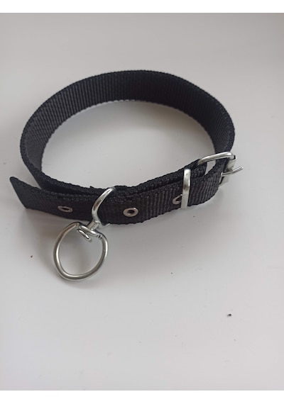 Kozaklı Orta Irk Köpek Tasması Siyah 60 x 3 CM Siyah