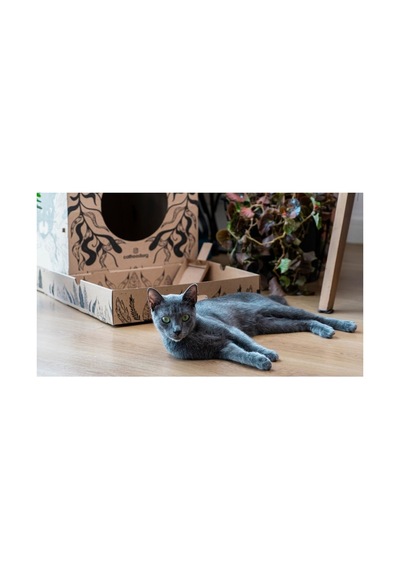 Organik Portatif Karton Kedi Tuvaleti