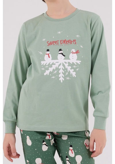 Rolypoly Erkek Çocuk Yeşil Pijama Takımı Rp3681-c-v2