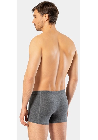 Cacharel Erkek Likralı Boxer 1335/Antrasit 001