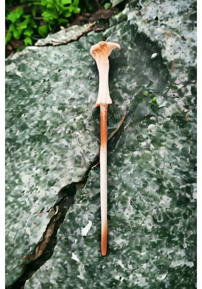 Harry Potter Voldemort Asası Kutulu 33 Cm