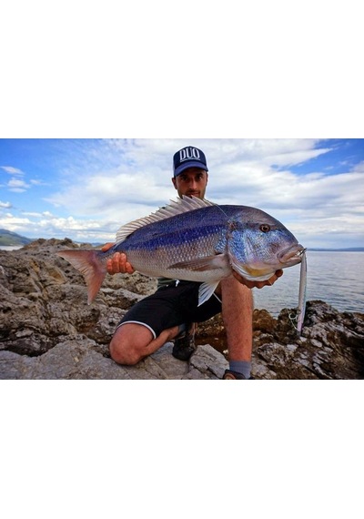 Duo Press Bait Saira Ada0150 / Dorado Hd
