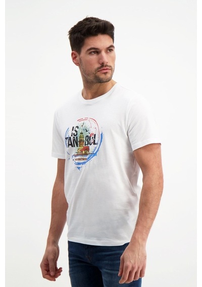Rich Erkek Bisiklet Yaka Baskılı T-Shirt %100 Pamuk Tişört (481343962)
