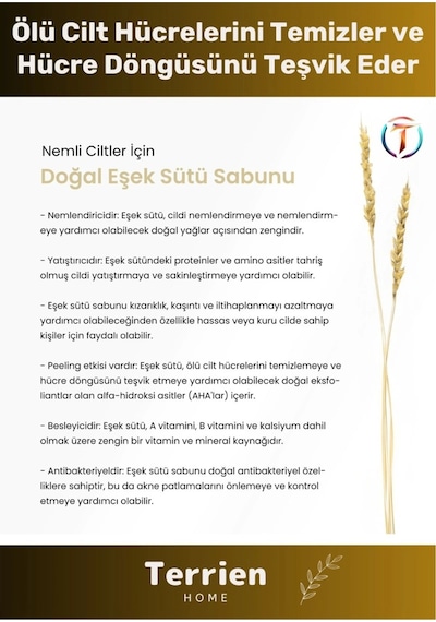 Home Serisi El Yapımı Doğal Bitkisel 2 Adet Temizleyici Parlak Ciltler Nemlendirici Eşek Sütü Sabunu Karışık