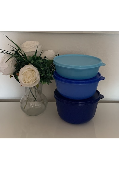 Tupperware Mucize Şeker Saklama Ve Servis Kabı 3 Lü Set Yeni Renkler Mavi