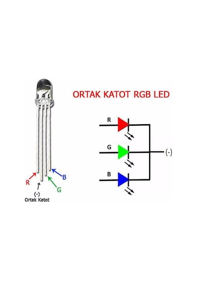 Powermaster 1592-5mm Rgb Led 4 Pin Ortak Katot