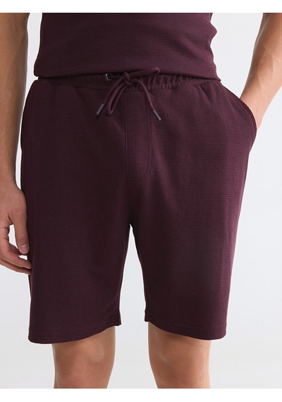 Lcwaıkıkı Classic Mürdüm Regular Fit Erkek Şort