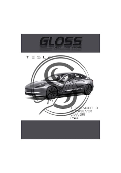Tesla Model 3 Quicksilver Civa Grisi Profesyonel Rötuş Boyası 30ml, Pr00flea Tek Renk