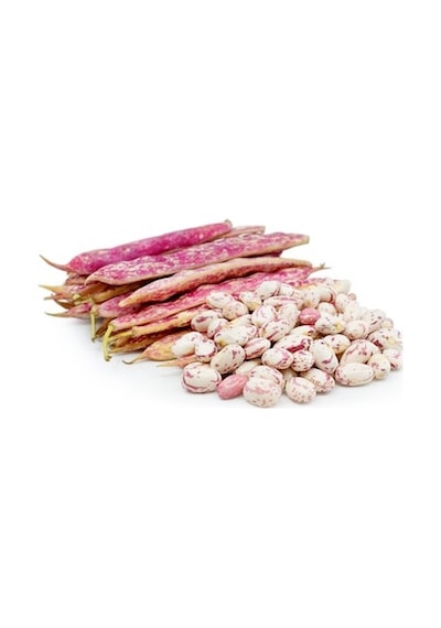 Barbunya Sırık Fasulye Tohumu 50 Tohum + Spriz Tohum