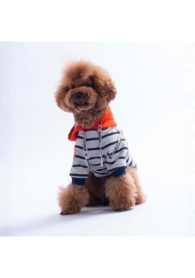 Turuncu Seattle Pitch Köpek Hoodie Köpek Sweat Köpek Kıyafeti Kedi Kıyafeti