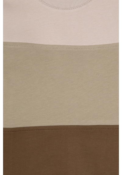 U.S. Polo Assn. Erkek Çocuk Haki Basic Bisiklet Yaka Sweatshirt 50313977-VR027
