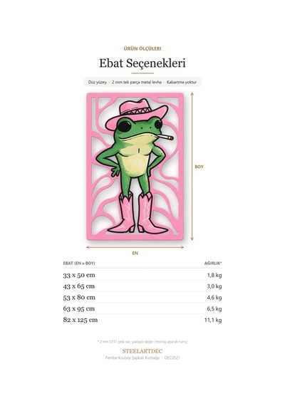 Pembe Kovboy Şapkalı Kurbağa Metal Tablo 63x95 Cm Çok Renkli