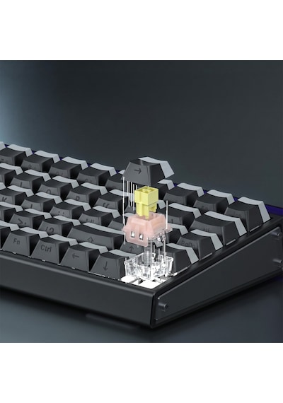 Aula Leobog Pink King Manyetik Switch 20 Adet