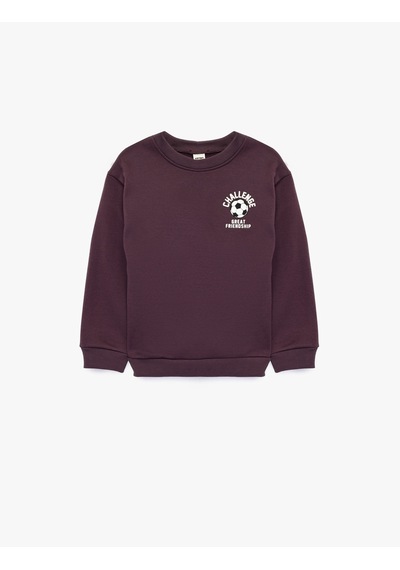 Koton Bisiklet Yaka Uzun Kollu Baskı Detaylı Şardonlu Sweatshirt Mor 7wmb10109tk