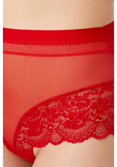 Cottonhill Dantel Detaylı Transparan Büyük Beden Bikini Külot 3'lü Paket Çok Renkli 1 Çok Renkli