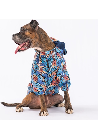 Pawstar Autumna Polarlı Orta Büyük Irk Köpek Yağmurluk