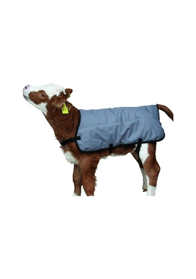 Buzağı Battaniyesi 70 CM